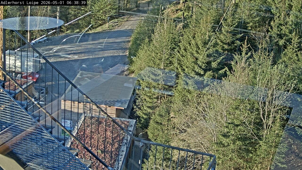 Archiv Foto Webcam Willingen: Adlerhorst Loipe