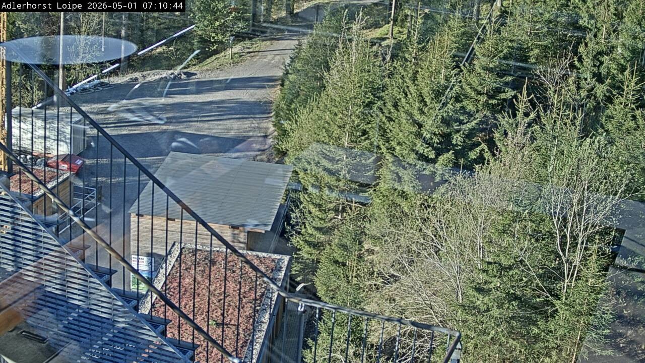 Archiv Foto Webcam Willingen: Adlerhorst Loipe
