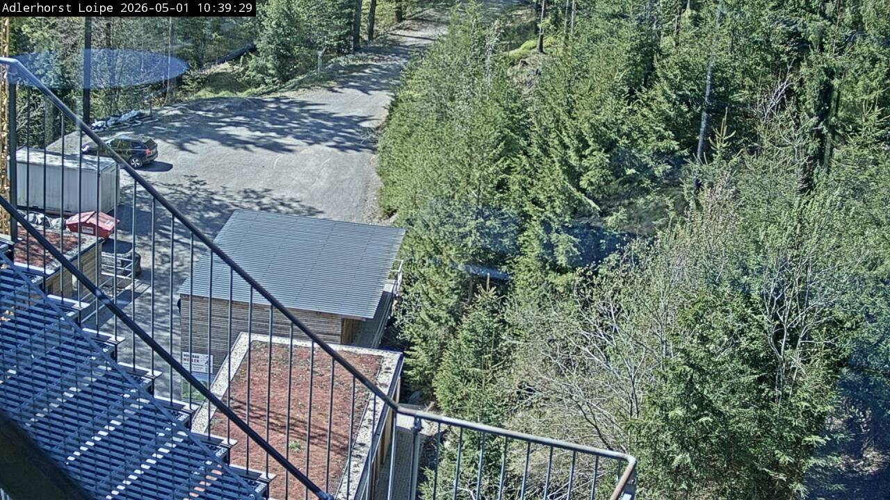 Archiv Foto Webcam Willingen: Adlerhorst Loipe