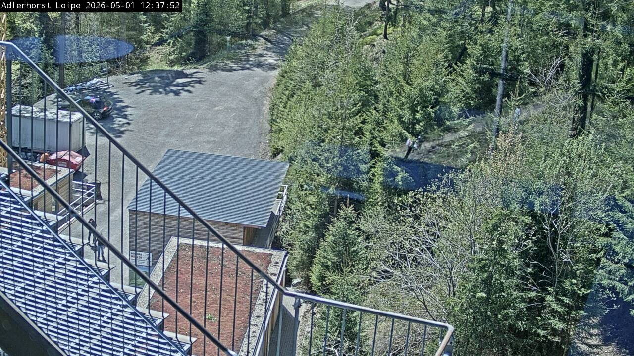 Archiv Foto Webcam Willingen: Adlerhorst Loipe