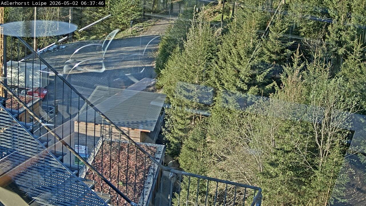 Archived image Webcam Willingen: Trail at Ski Jumping Area