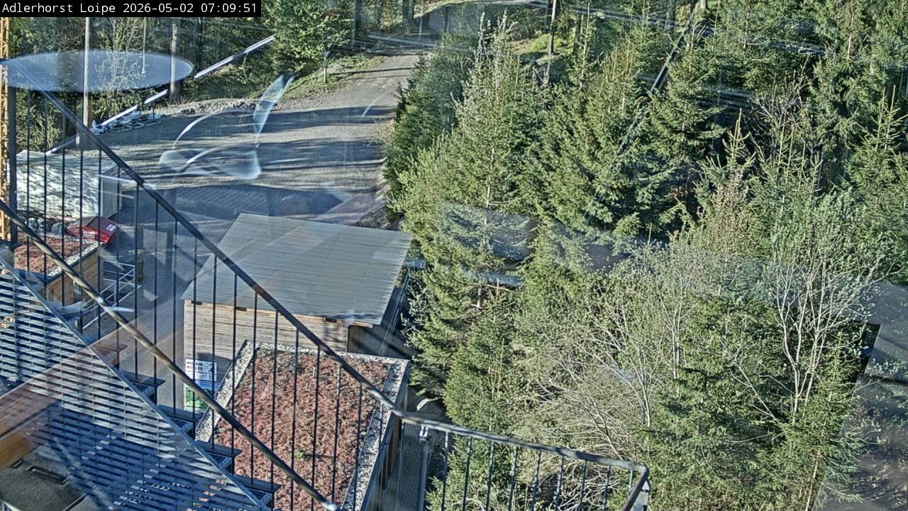 Archived image Webcam Willingen: Trail at Ski Jumping Area