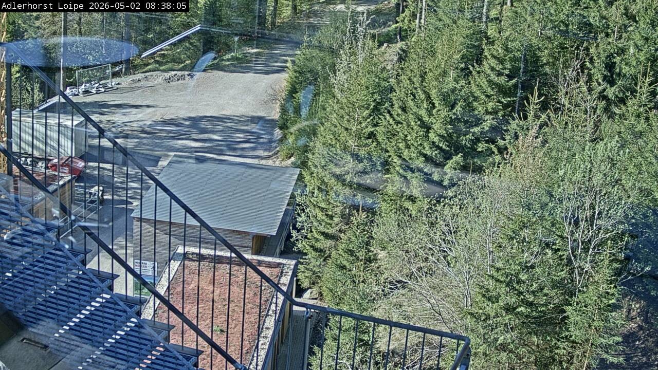 Archived image Webcam Willingen: Trail at Ski Jumping Area