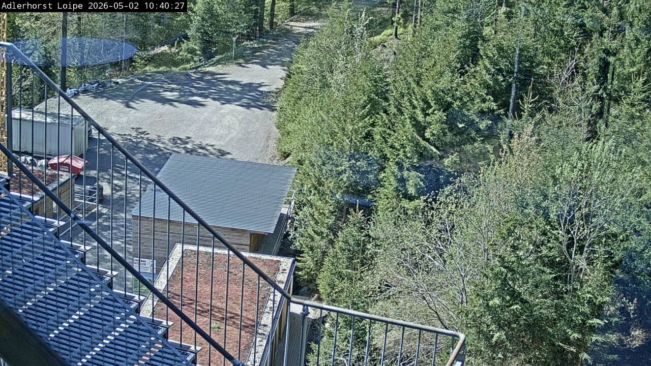 Archived image Webcam Willingen: Trail at Ski Jumping Area