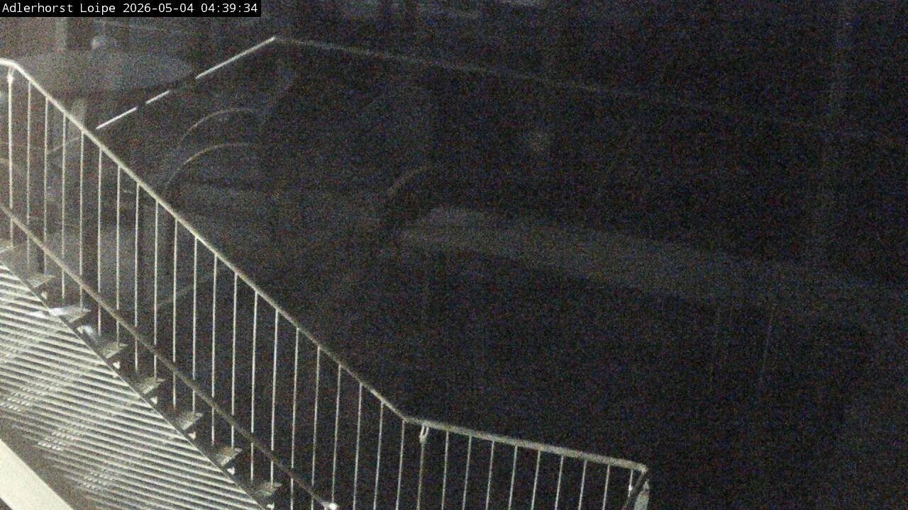 Archiv Foto Webcam Willingen: Adlerhorst Loipe