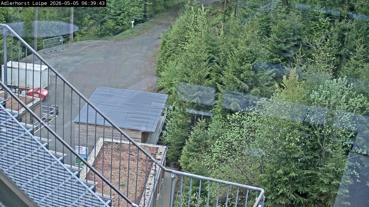 Archiv Foto Webcam Willingen: Adlerhorst Loipe