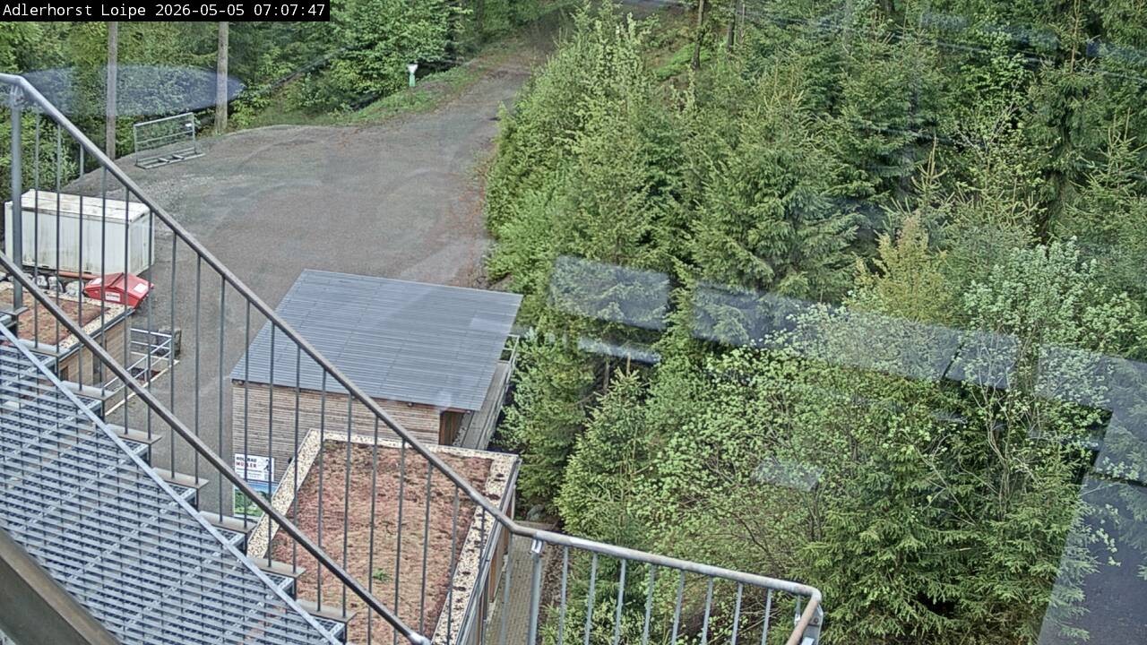Archiv Foto Webcam Willingen: Adlerhorst Loipe