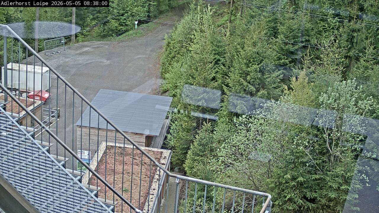 Archiv Foto Webcam Willingen: Adlerhorst Loipe