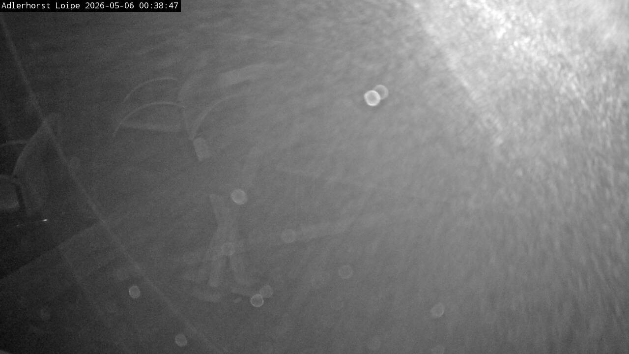 Archiv Foto Webcam Willingen: Adlerhorst Loipe