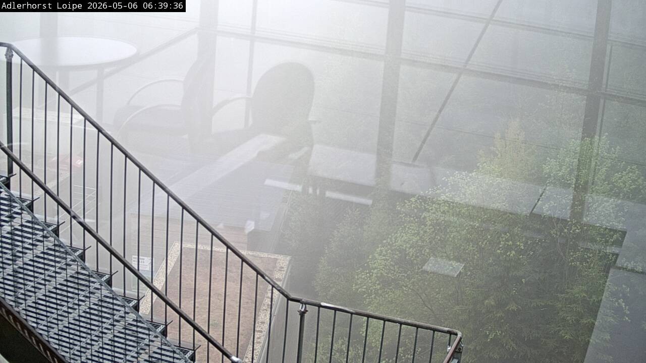 Archiv Foto Webcam Willingen: Adlerhorst Loipe
