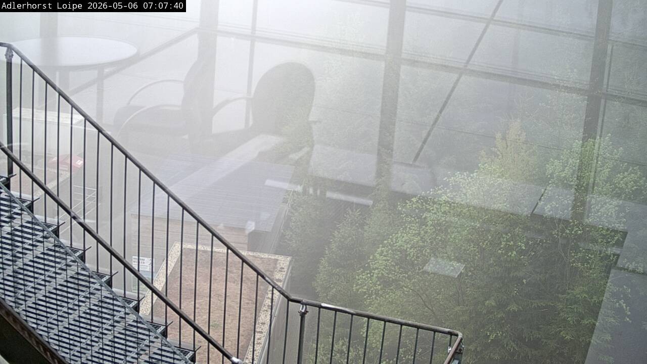 Archiv Foto Webcam Willingen: Adlerhorst Loipe