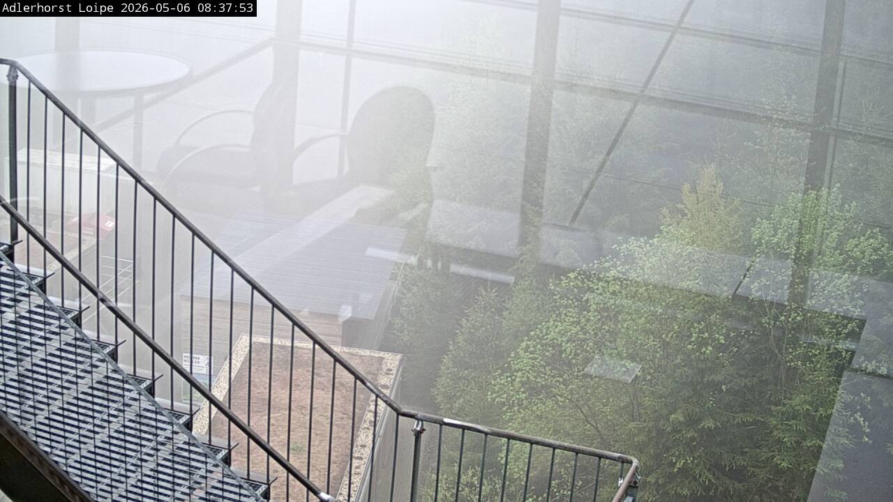Archiv Foto Webcam Willingen: Adlerhorst Loipe