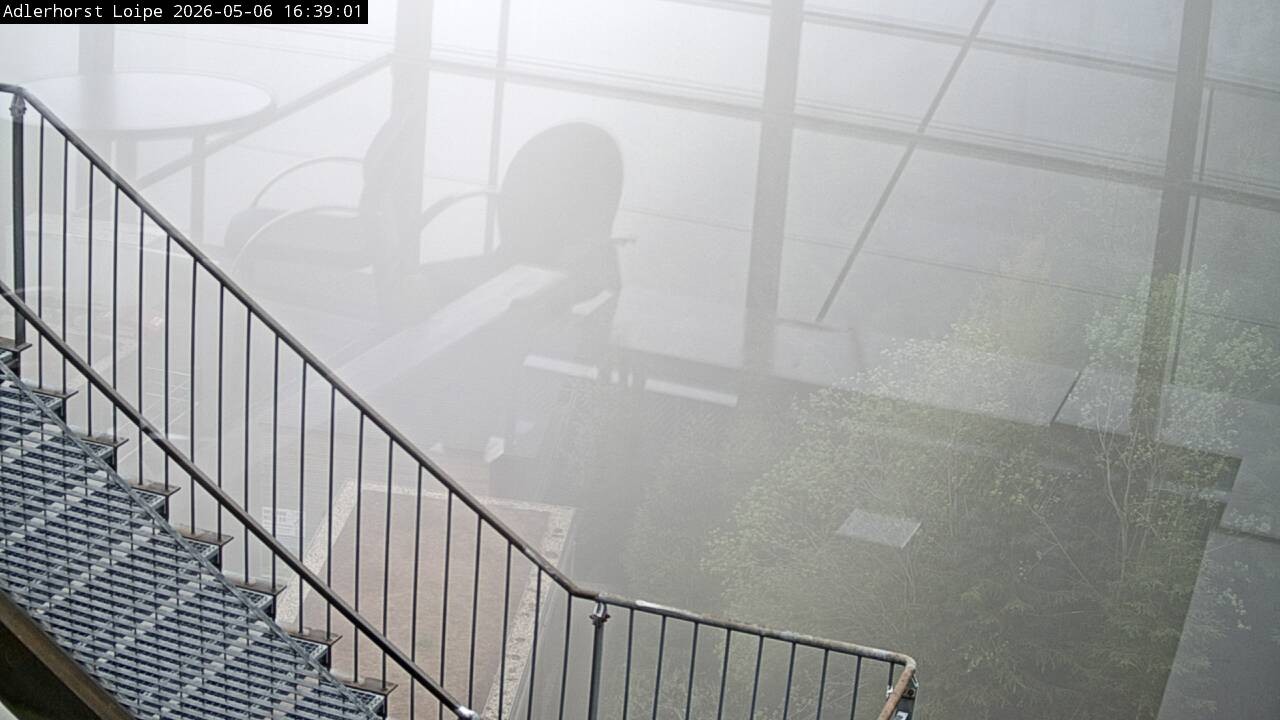 Archiv Foto Webcam Willingen: Adlerhorst Loipe