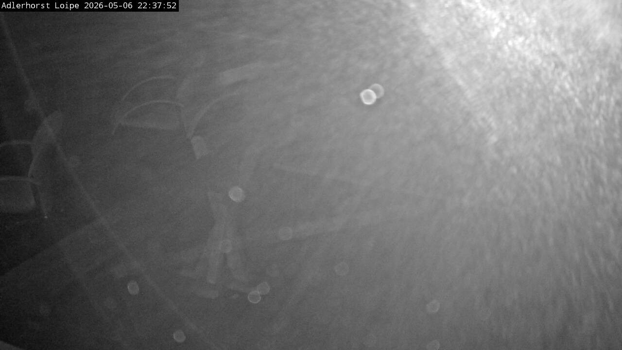 Archived image Webcam Willingen: Trail at Ski Jumping Area