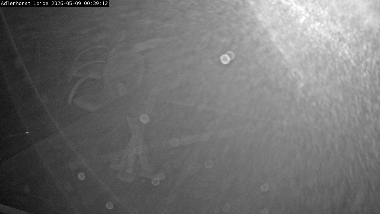 Archiv Foto Webcam Willingen: Adlerhorst Loipe