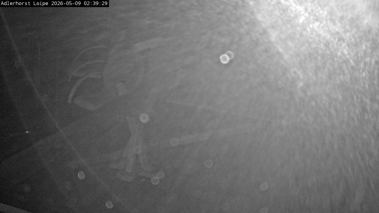 Archiv Foto Webcam Willingen: Adlerhorst Loipe