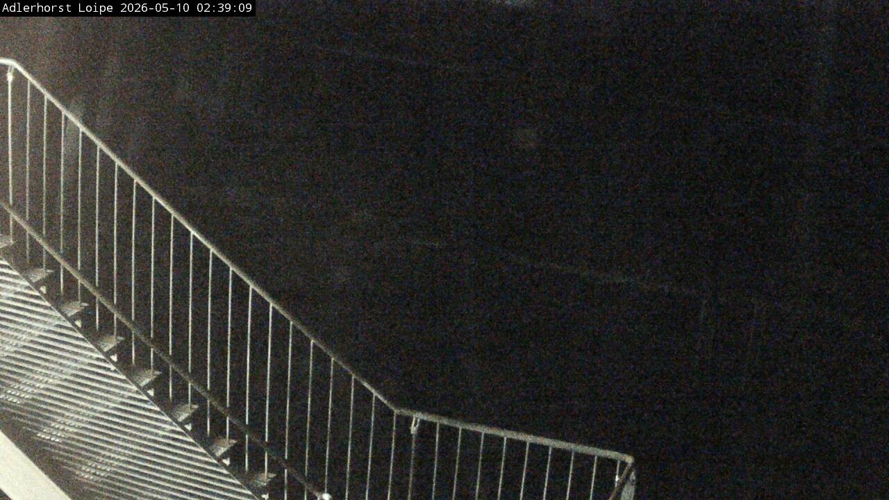 Archiv Foto Webcam Willingen: Adlerhorst Loipe
