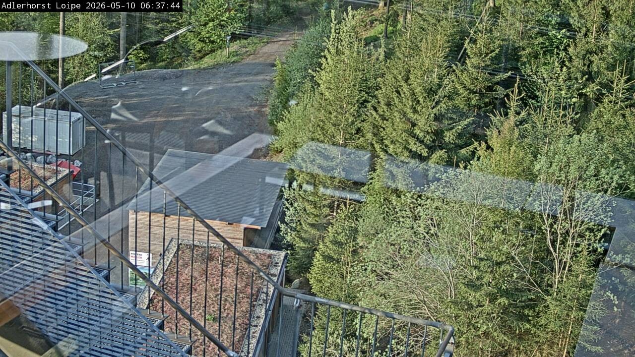 Archiv Foto Webcam Willingen: Adlerhorst Loipe
