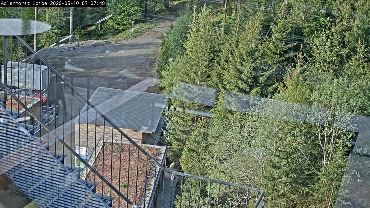 Archiv Foto Webcam Willingen: Adlerhorst Loipe