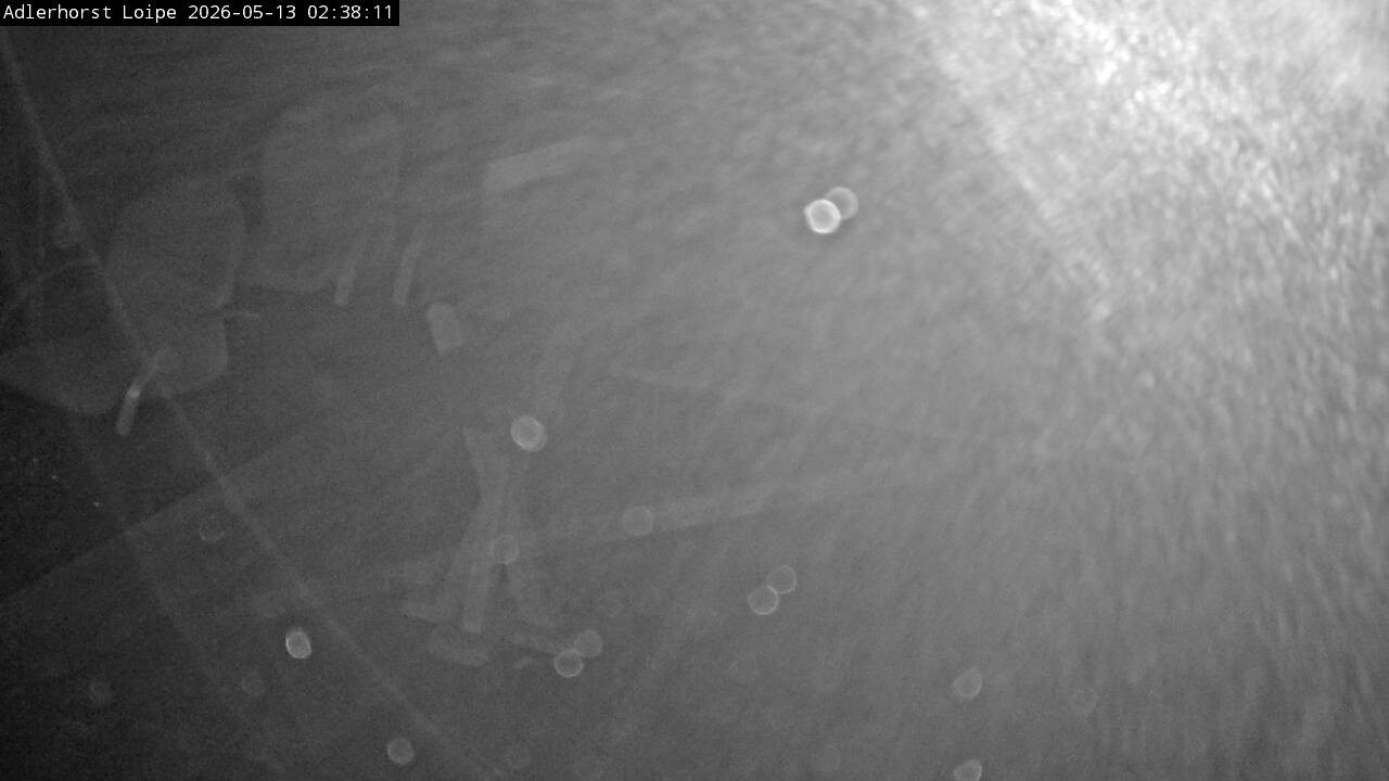 Archiv Foto Webcam Willingen: Adlerhorst Loipe