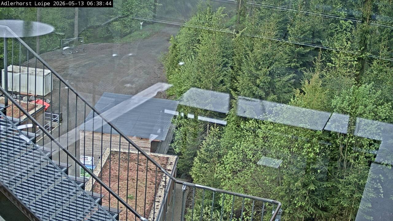 Archiv Foto Webcam Willingen: Adlerhorst Loipe