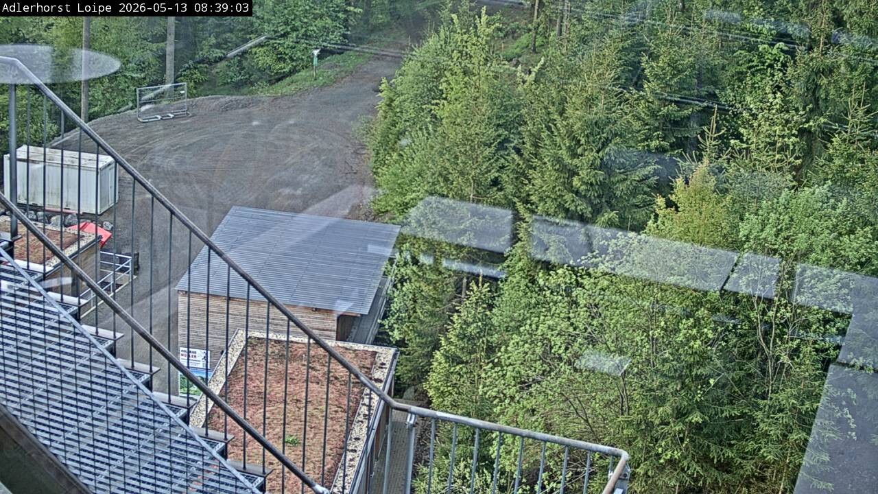 Archiv Foto Webcam Willingen: Adlerhorst Loipe