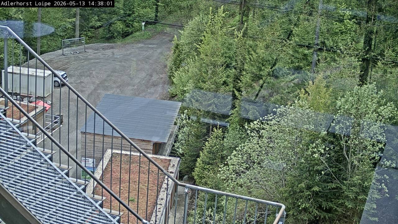 Archiv Foto Webcam Willingen: Adlerhorst Loipe