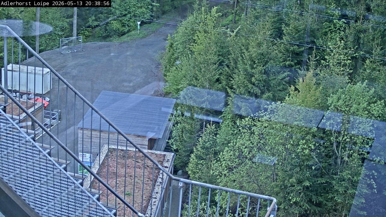 Archiv Foto Webcam Willingen: Adlerhorst Loipe