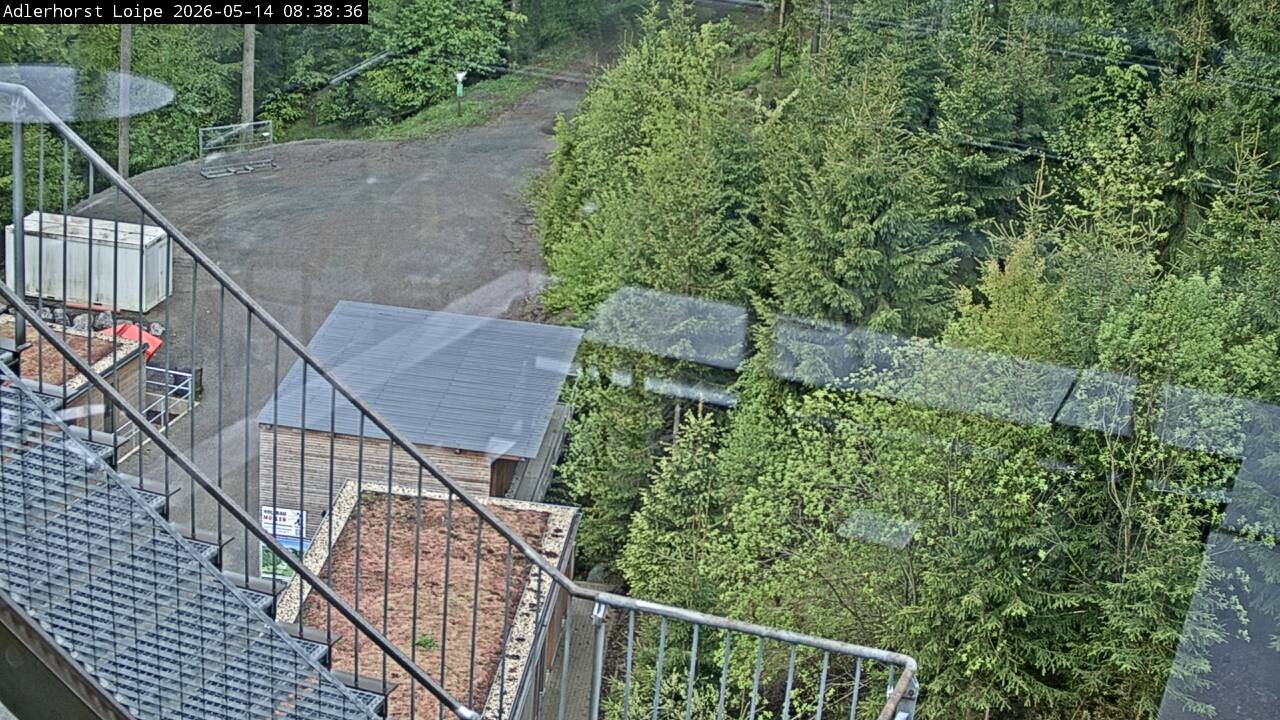 Archiv Foto Webcam Willingen: Adlerhorst Loipe