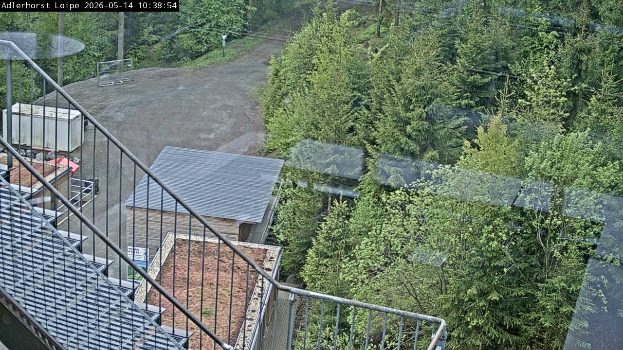 Archiv Foto Webcam Willingen: Adlerhorst Loipe