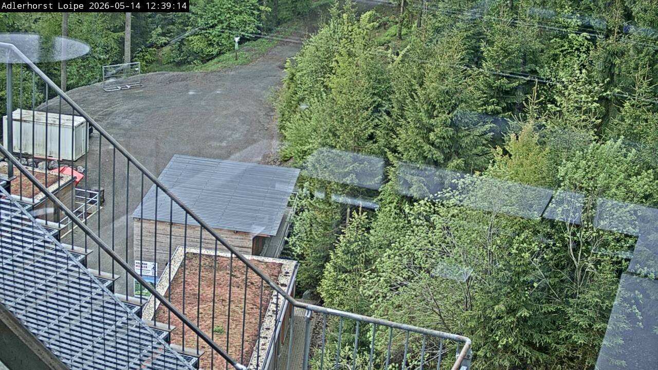 Archiv Foto Webcam Willingen: Adlerhorst Loipe