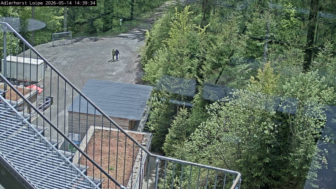 Archiv Foto Webcam Willingen: Adlerhorst Loipe