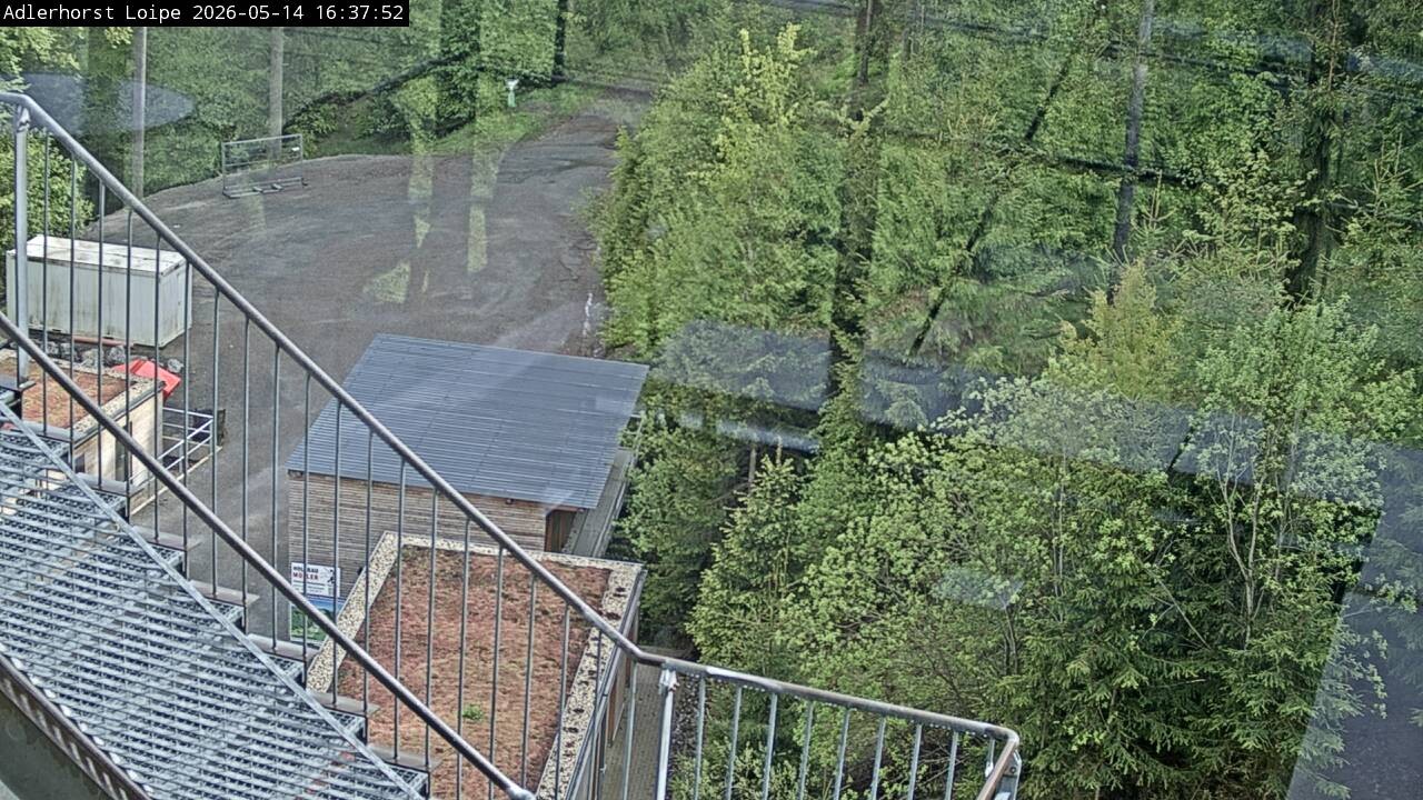 Archiv Foto Webcam Willingen: Adlerhorst Loipe