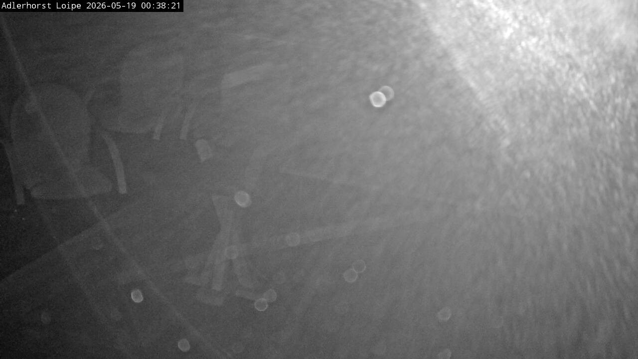 Archived image Webcam Willingen: Trail at Ski Jumping Area
