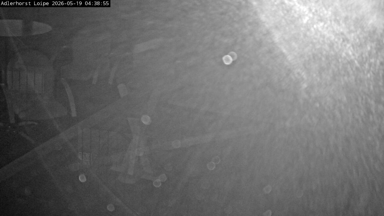 Archived image Webcam Willingen: Trail at Ski Jumping Area