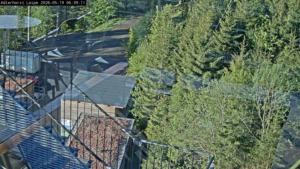 Archived image Webcam Willingen: Trail at Ski Jumping Area