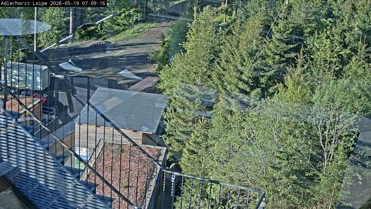 Archived image Webcam Willingen: Trail at Ski Jumping Area