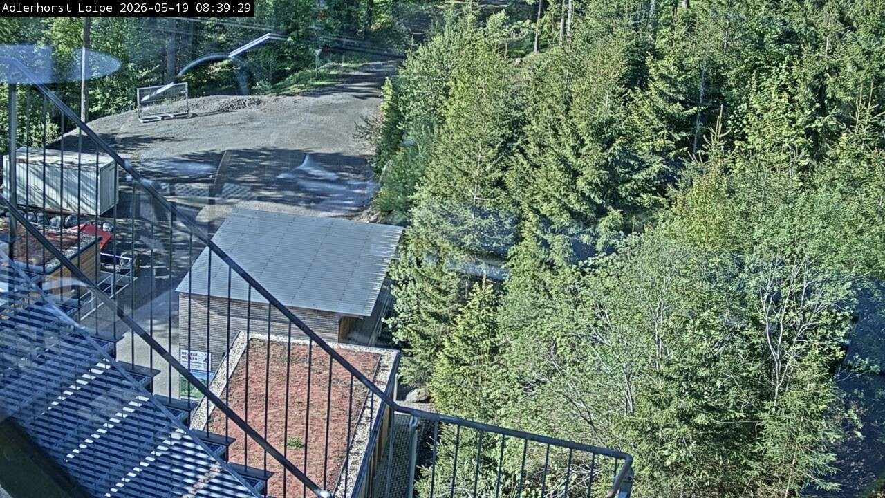 Archived image Webcam Willingen: Trail at Ski Jumping Area