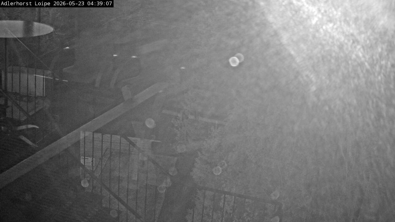 Archiv Foto Webcam Willingen: Adlerhorst Loipe