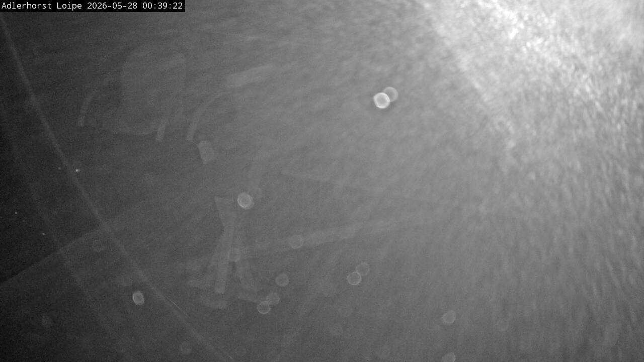 Archived image Webcam Willingen: Trail at Ski Jumping Area