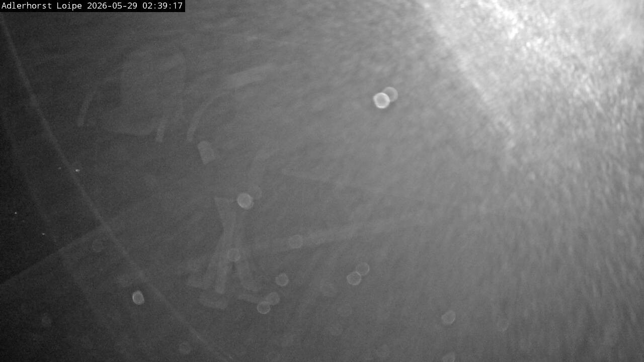 Archiv Foto Webcam Willingen: Adlerhorst Loipe