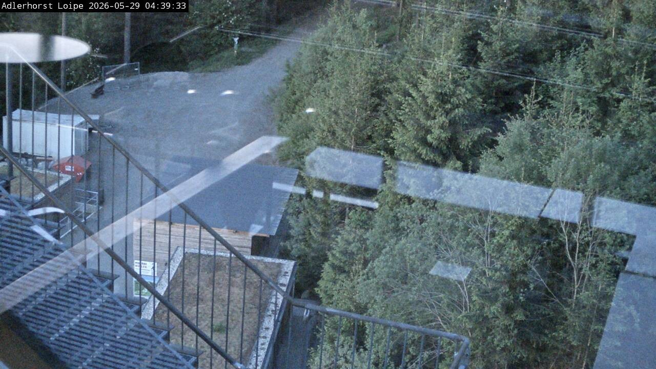 Archiv Foto Webcam Willingen: Adlerhorst Loipe