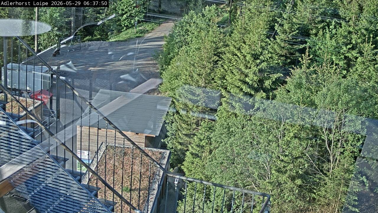 Archiv Foto Webcam Willingen: Adlerhorst Loipe