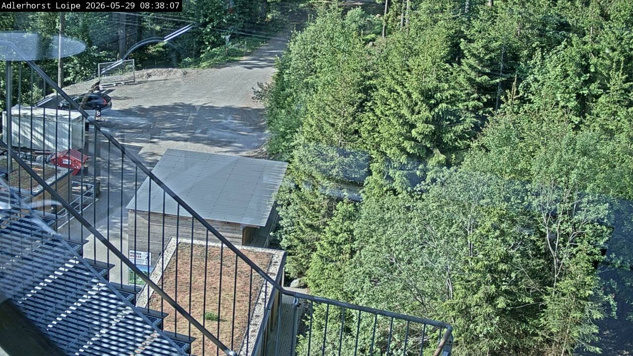 Archiv Foto Webcam Willingen: Adlerhorst Loipe