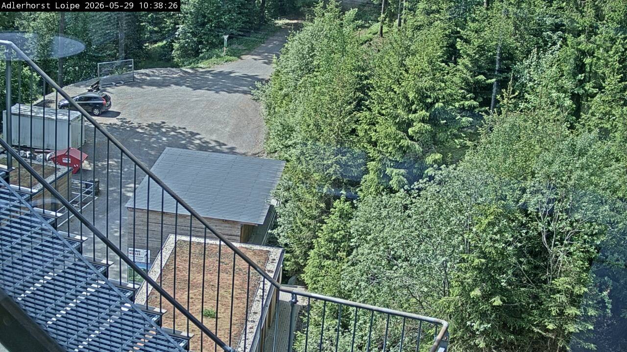 Archiv Foto Webcam Willingen: Adlerhorst Loipe
