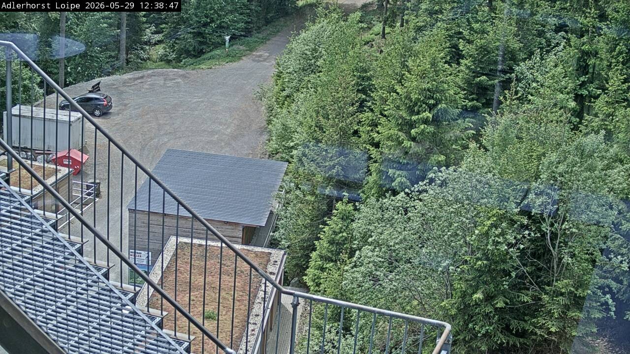 Archiv Foto Webcam Willingen: Adlerhorst Loipe