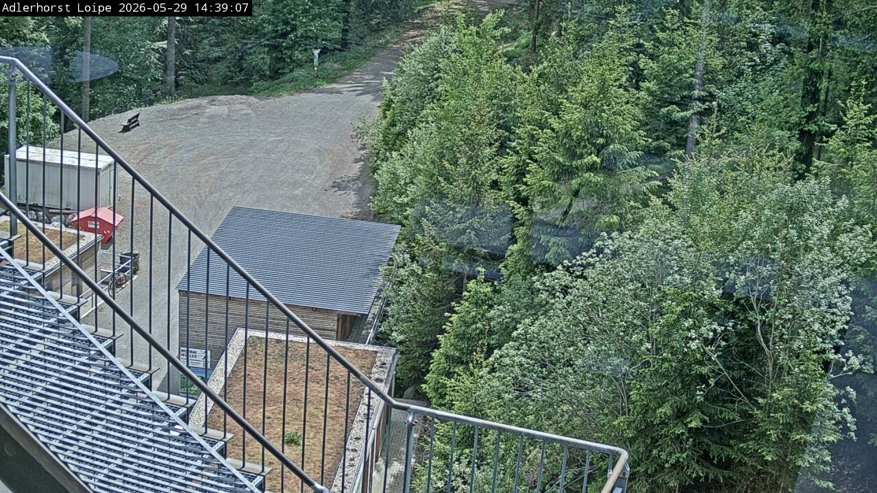 Archiv Foto Webcam Willingen: Adlerhorst Loipe