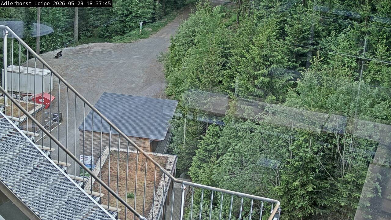 Archiv Foto Webcam Willingen: Adlerhorst Loipe