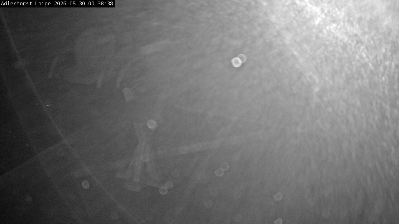 Archiv Foto Webcam Willingen: Adlerhorst Loipe