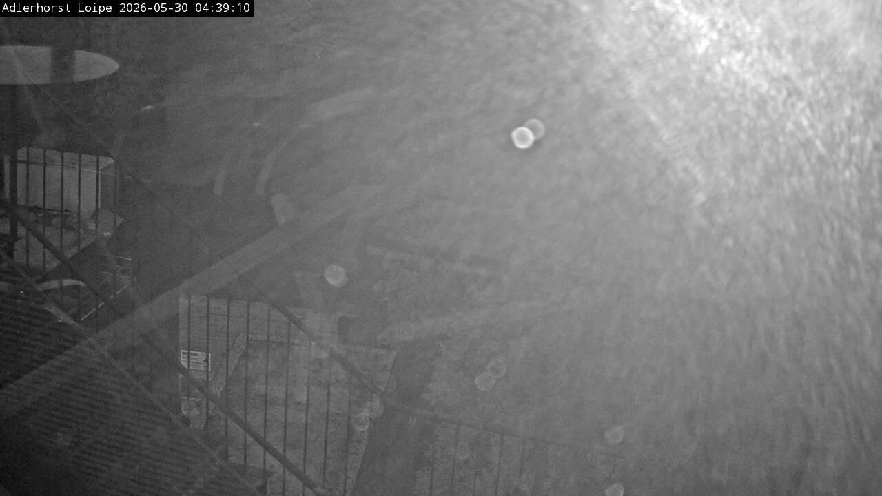 Archiv Foto Webcam Willingen: Adlerhorst Loipe